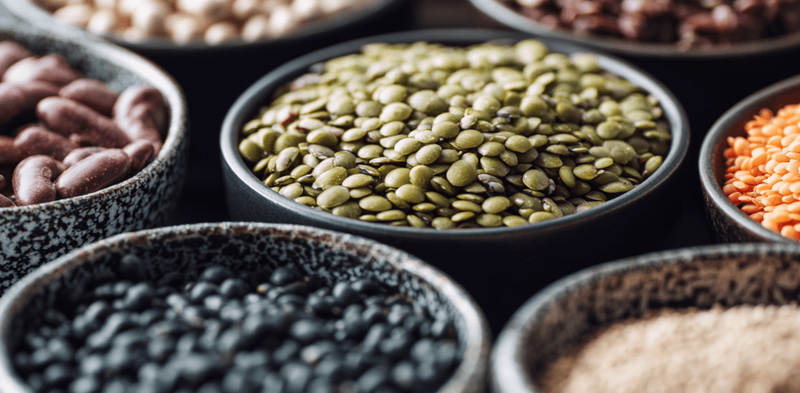 Why Plant Proteins Deserve a Place in Your Diet