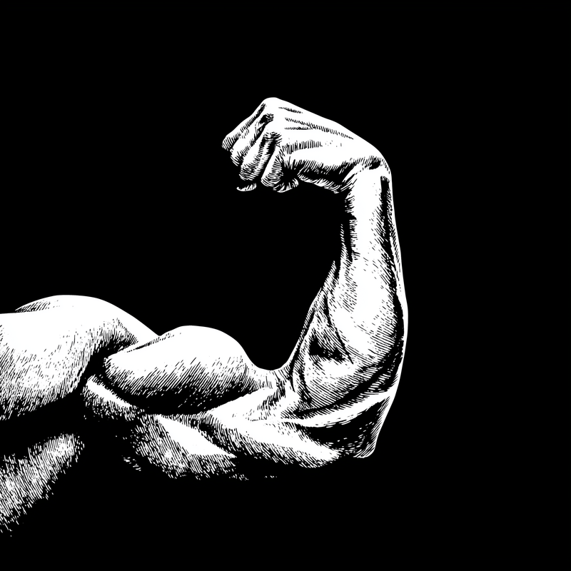Can Diet Increase Testosterone Naturally?