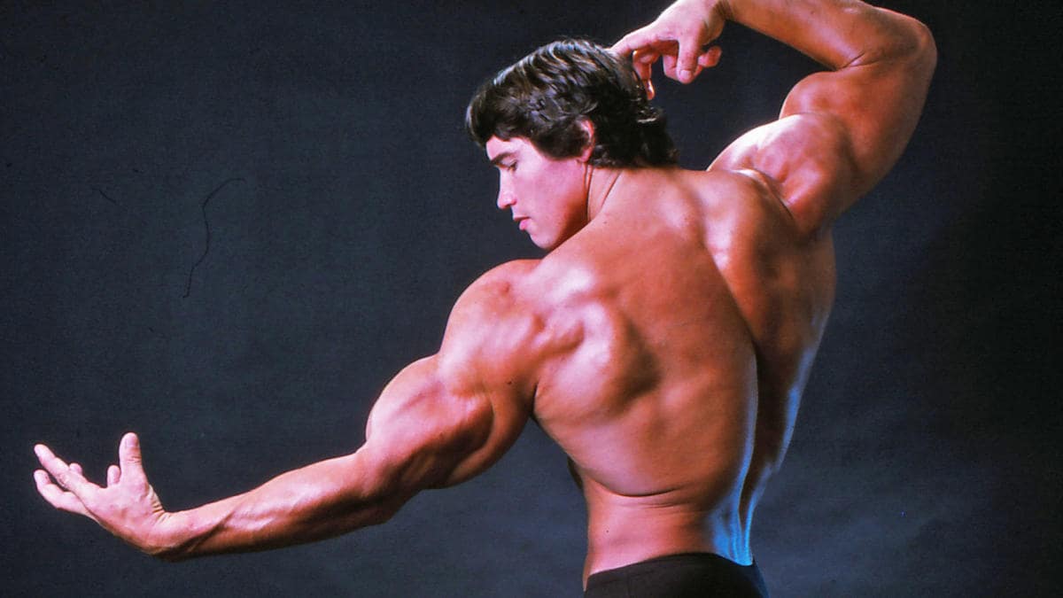Skeletal Muscle and Longevity