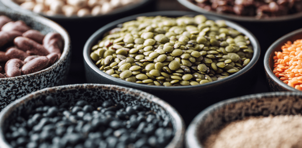 Why Plant Proteins Deserve a Place in Your Diet